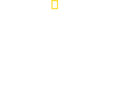 珍古德的傳奇一生