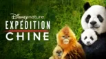 thumbnail - Expédition Chine