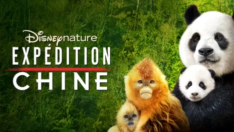 thumbnail - Expédition Chine