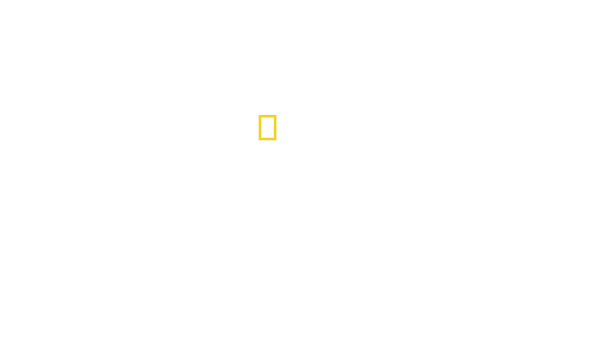 Før syndfloden