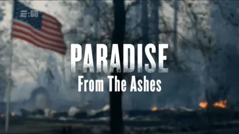 thumbnail - Paradise