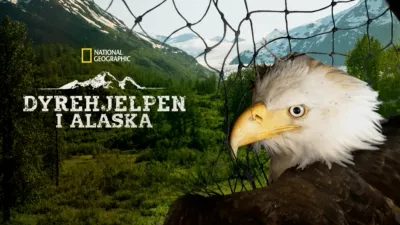 Dyrehjelpen i Alaska