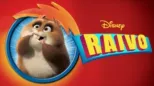 thumbnail - Raivo