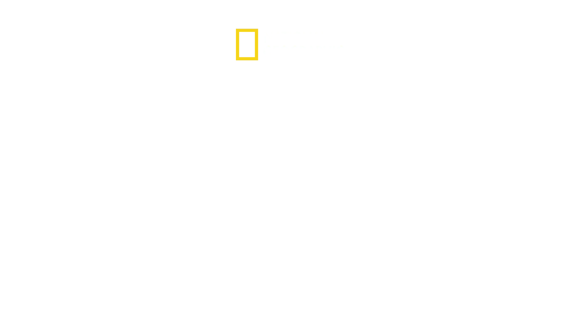 Inside The Hunt For The Boston Bombers