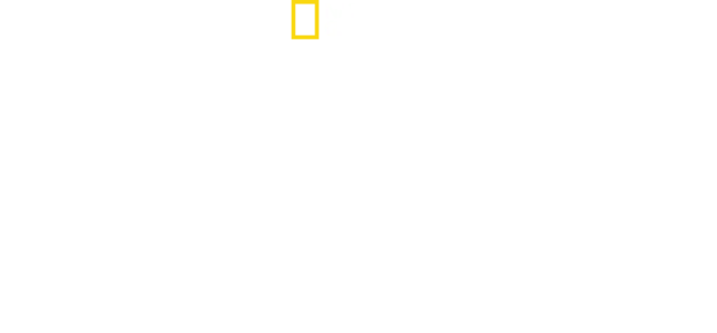 Inside The Hunt For The Boston Bombers