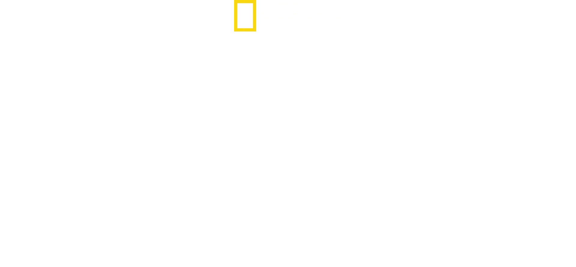 Inside the Hunt for the Boston Bombers