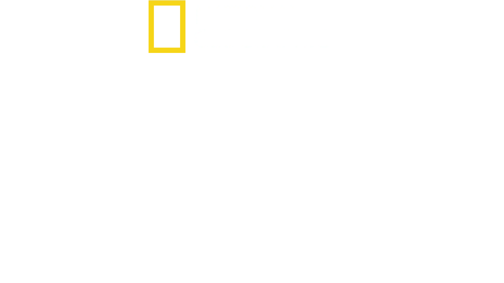 Mercado Ilegal com Mariana van Zeller