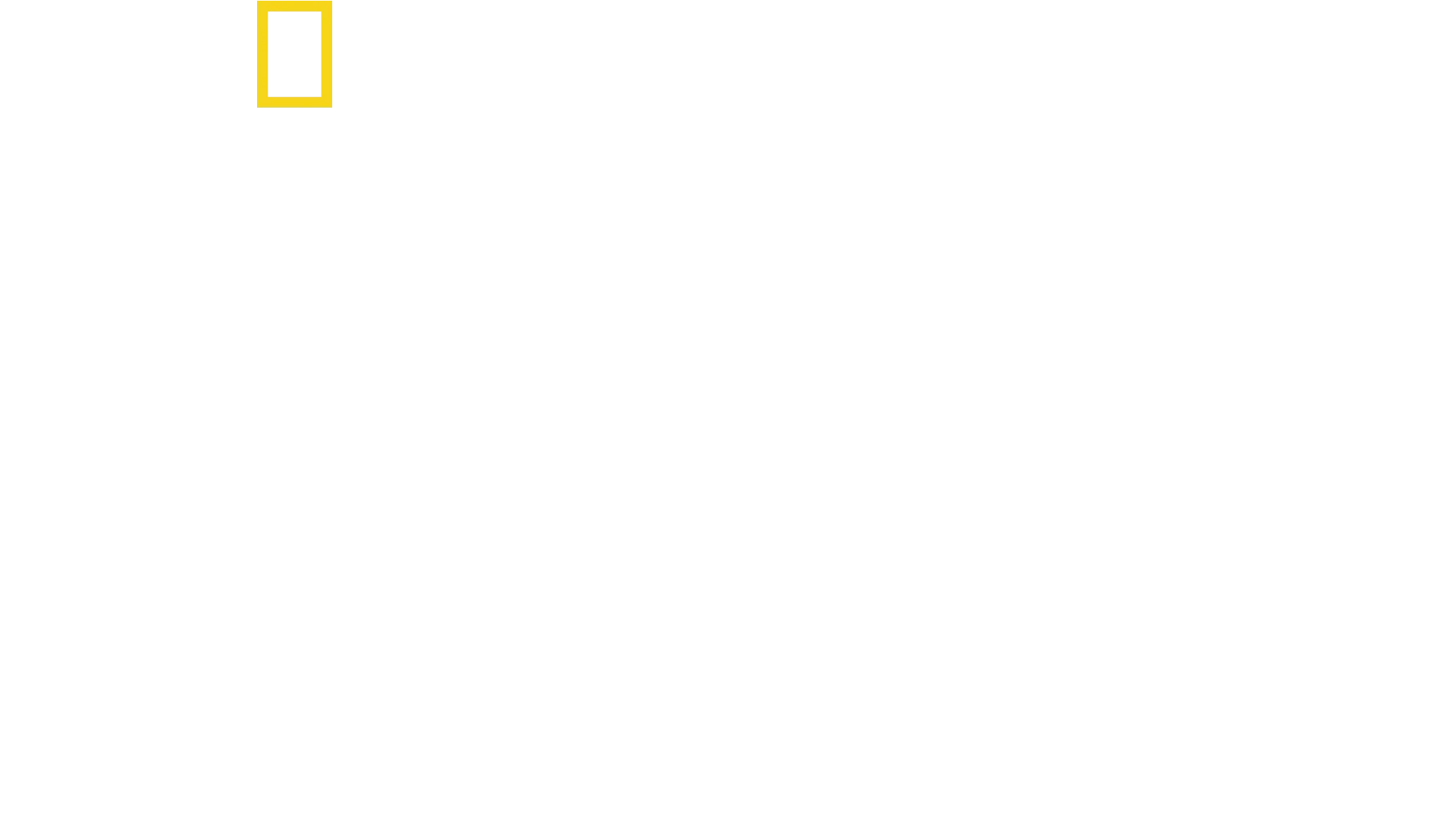 Världens största vithaj?