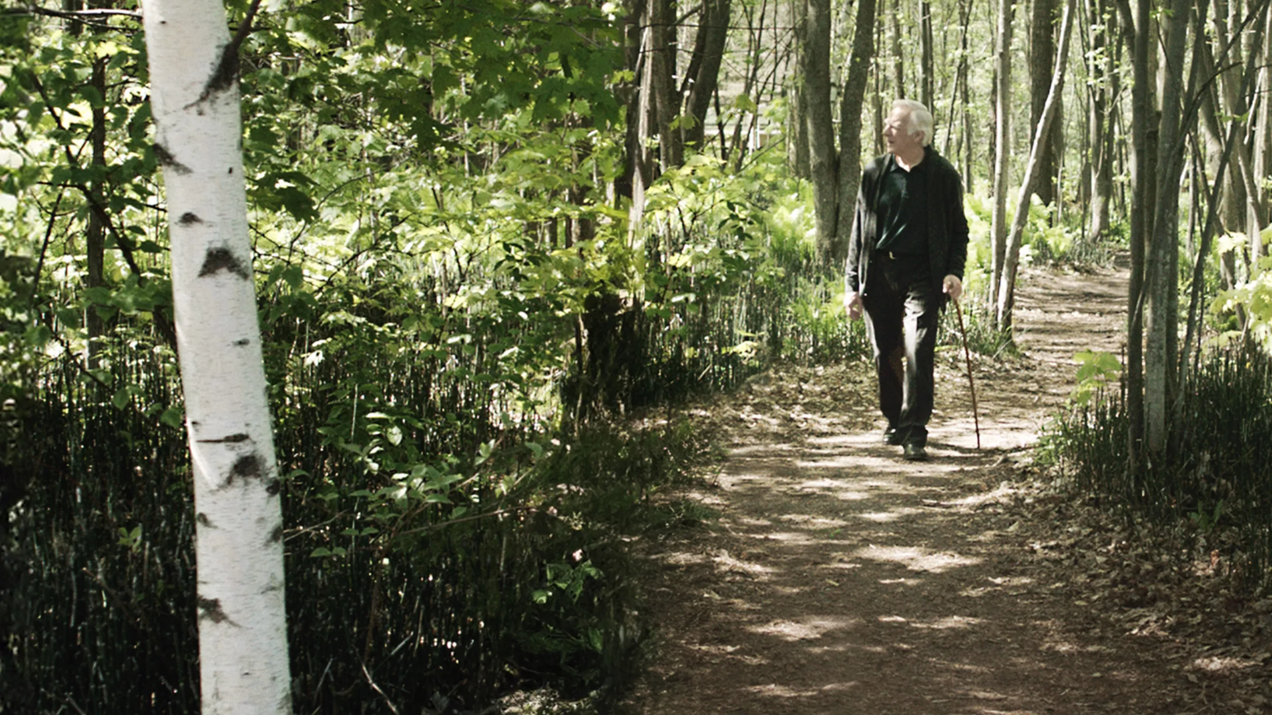 Le journal d'un vieil homme