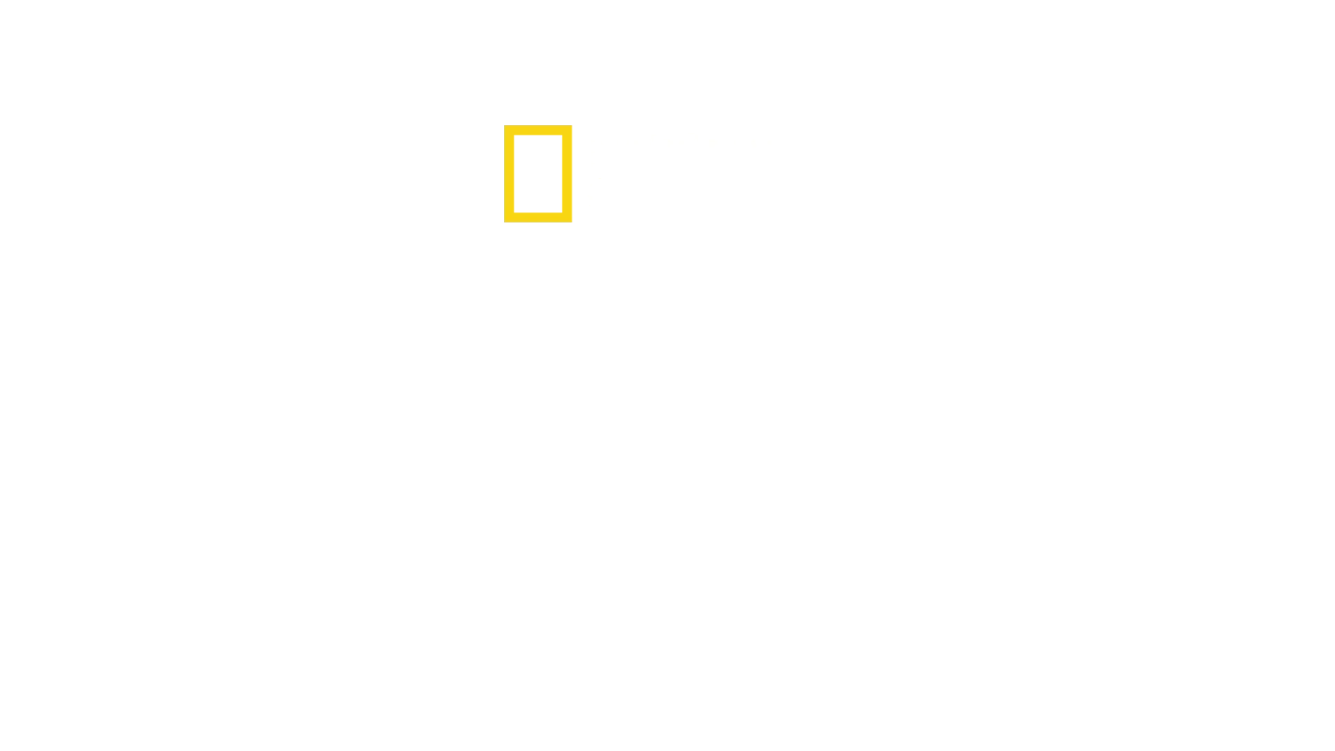 위대한 구조