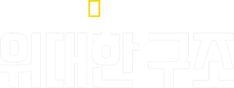 위대한 구조