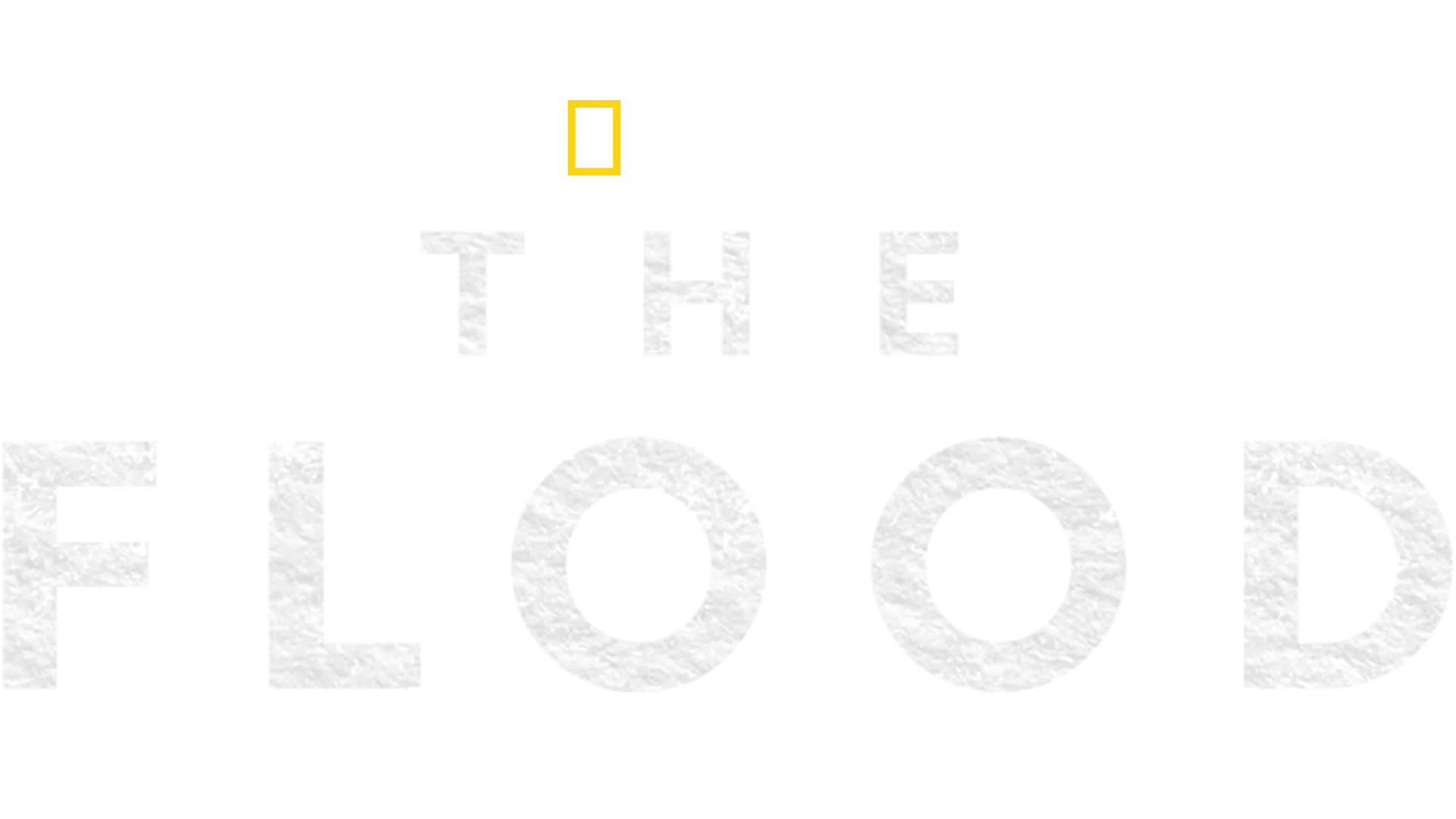 The Flood