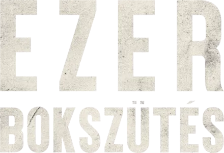 Ezer bokszütés