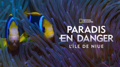 Paradis en danger : L’île de Niue