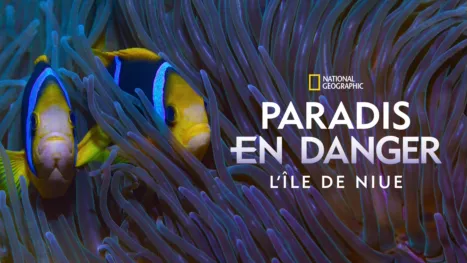thumbnail - Paradis en danger : L’île de Niue