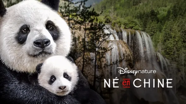 thumbnail - Né en Chine