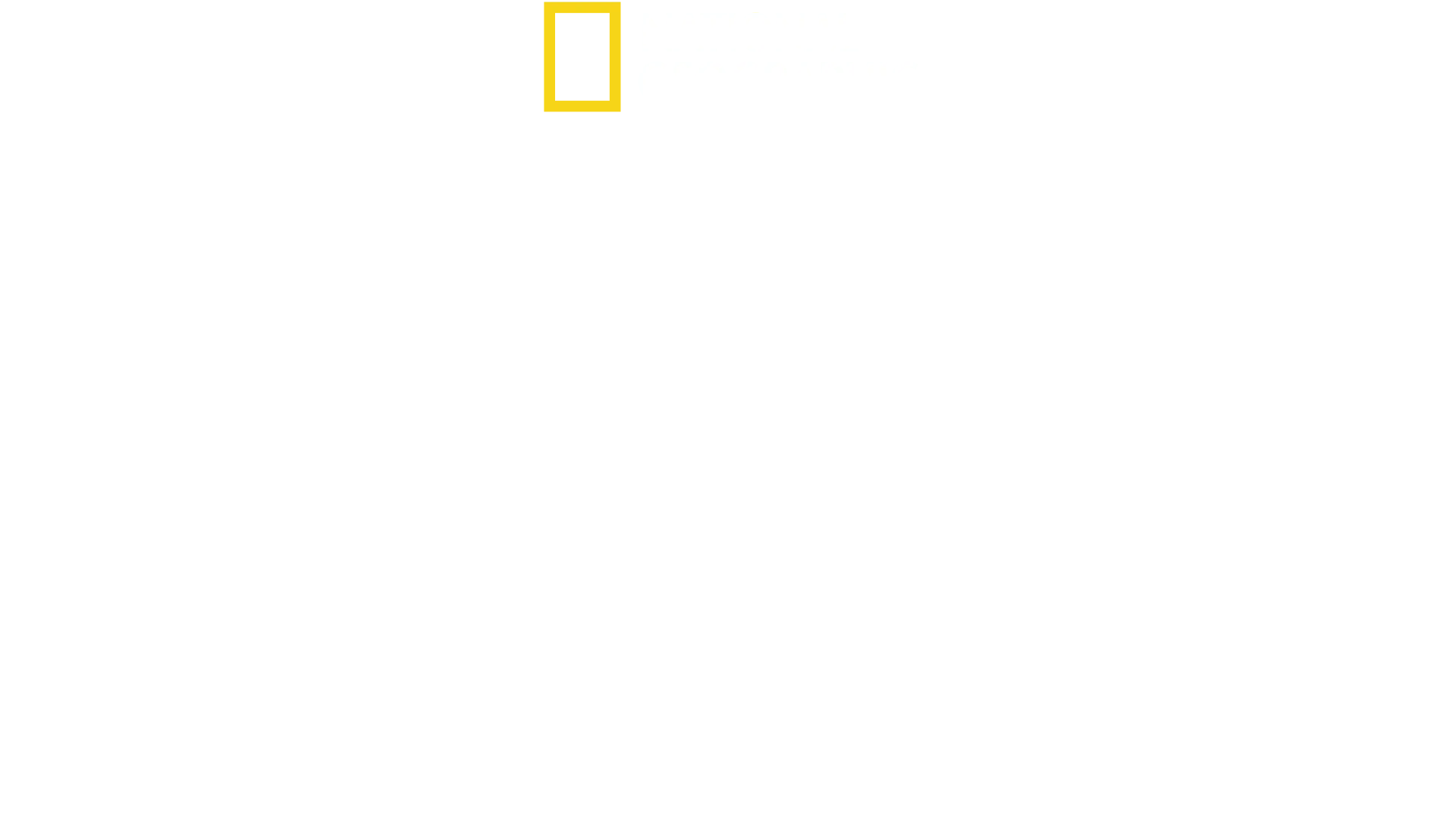 Crescer Animal