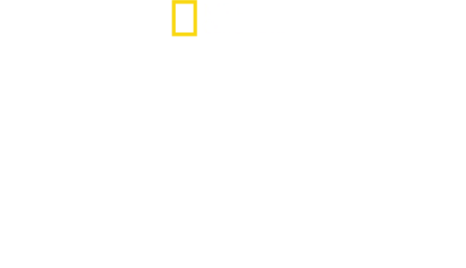 Crescer Animal