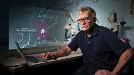 Hai-Alarm im Paradies