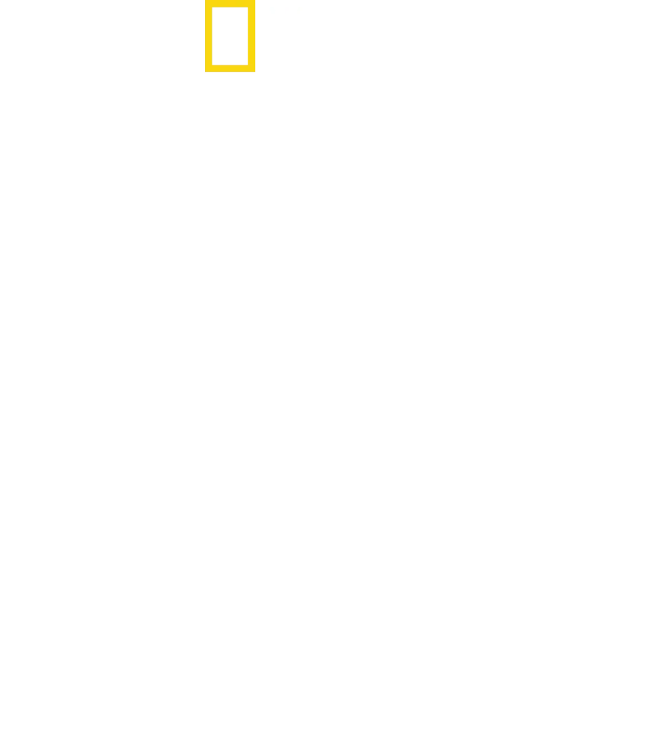 World's Biggest Great White?