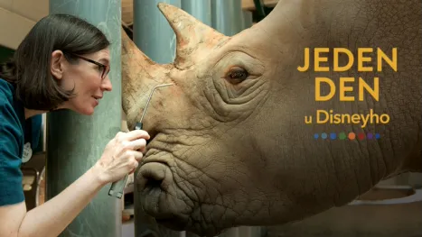 thumbnail - Jeden den u Disneyho