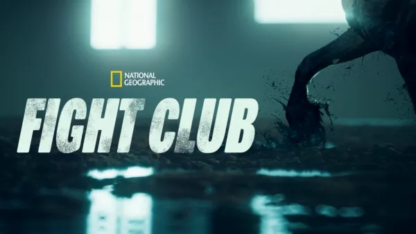 thumbnail - Fight Club