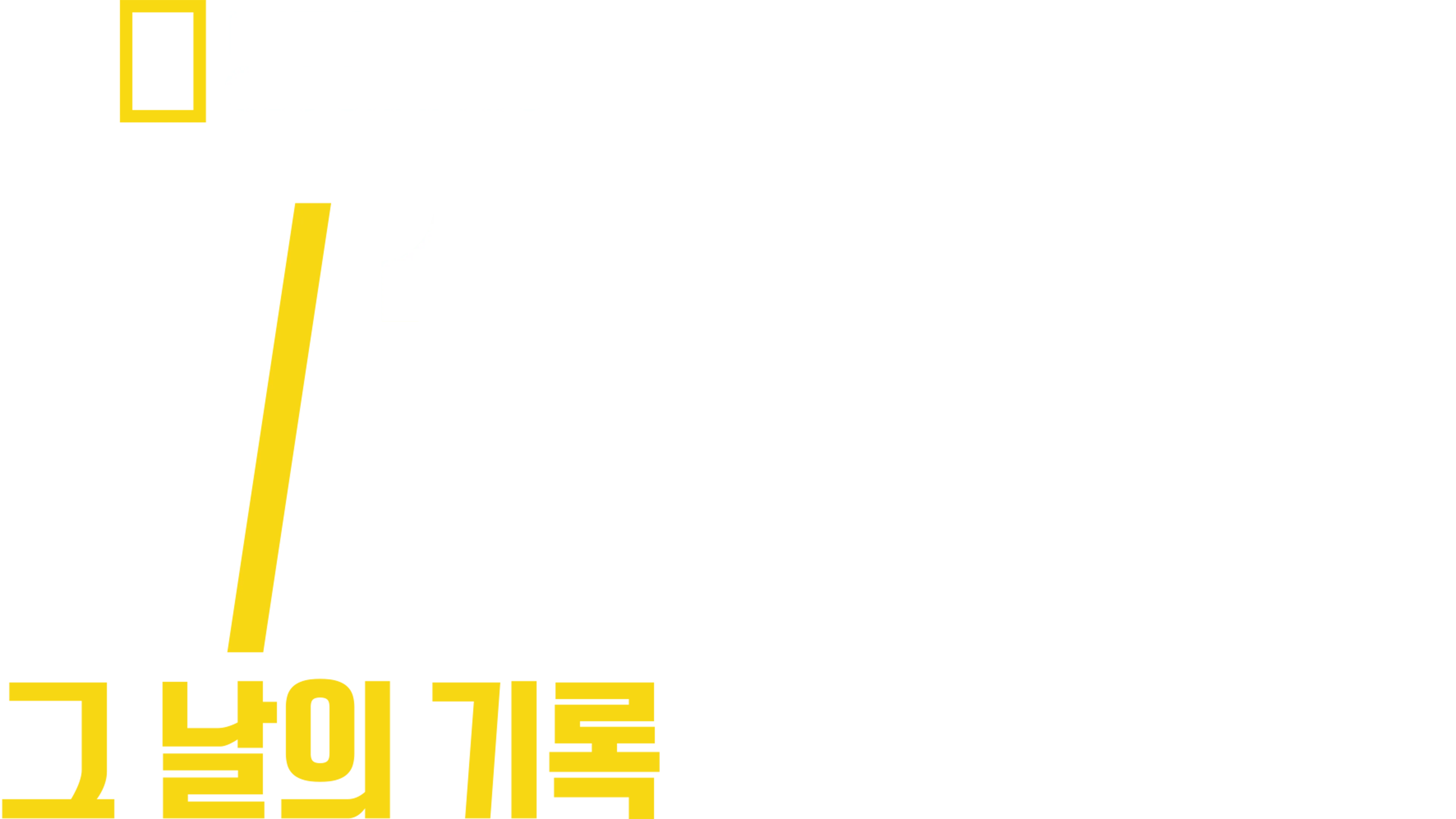 9/11: 그 날의 기록