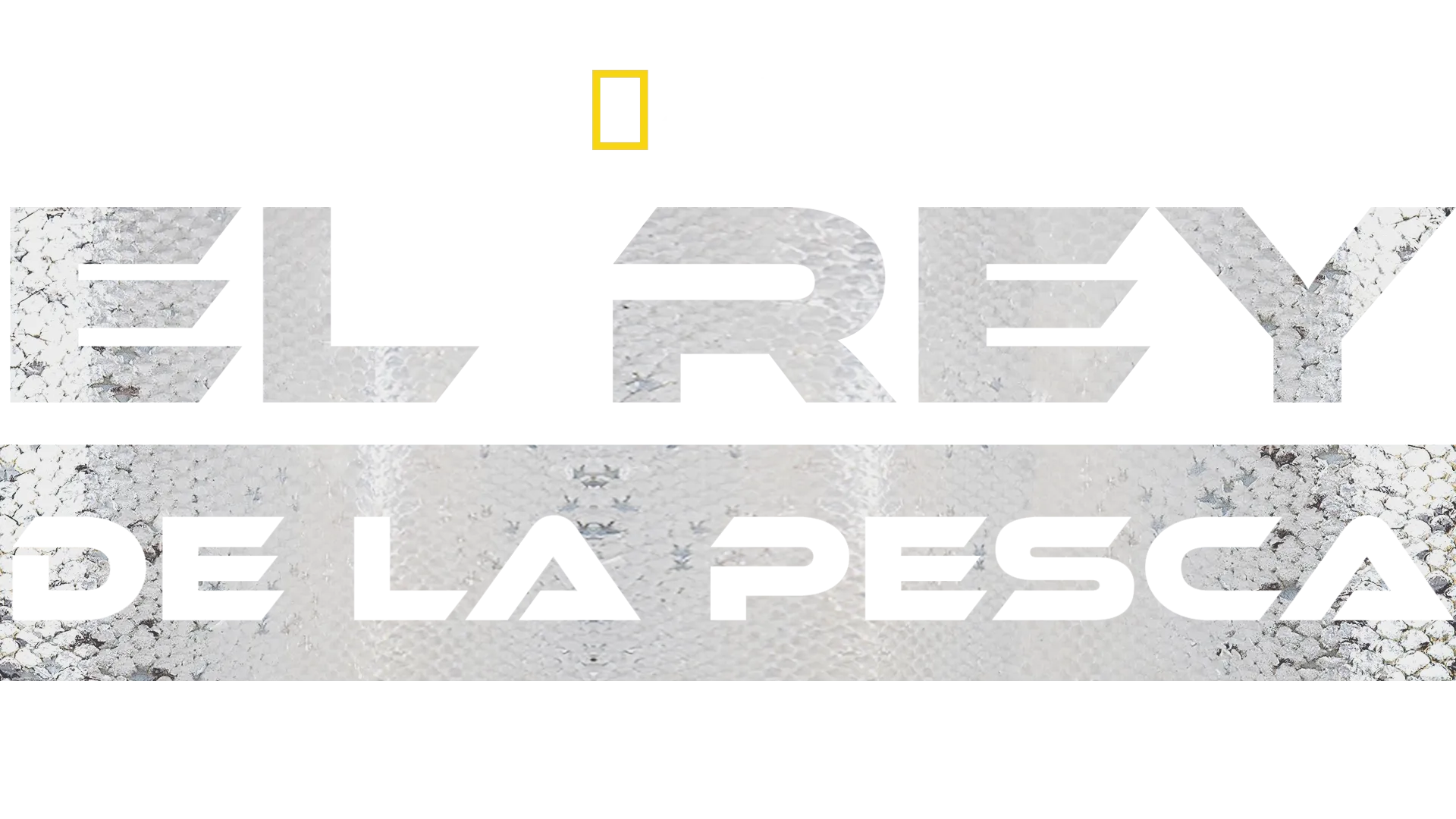 El Rey de la Pesca