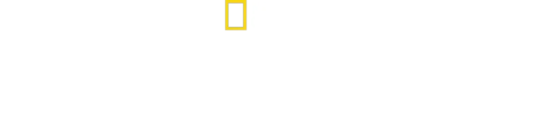 La caverne