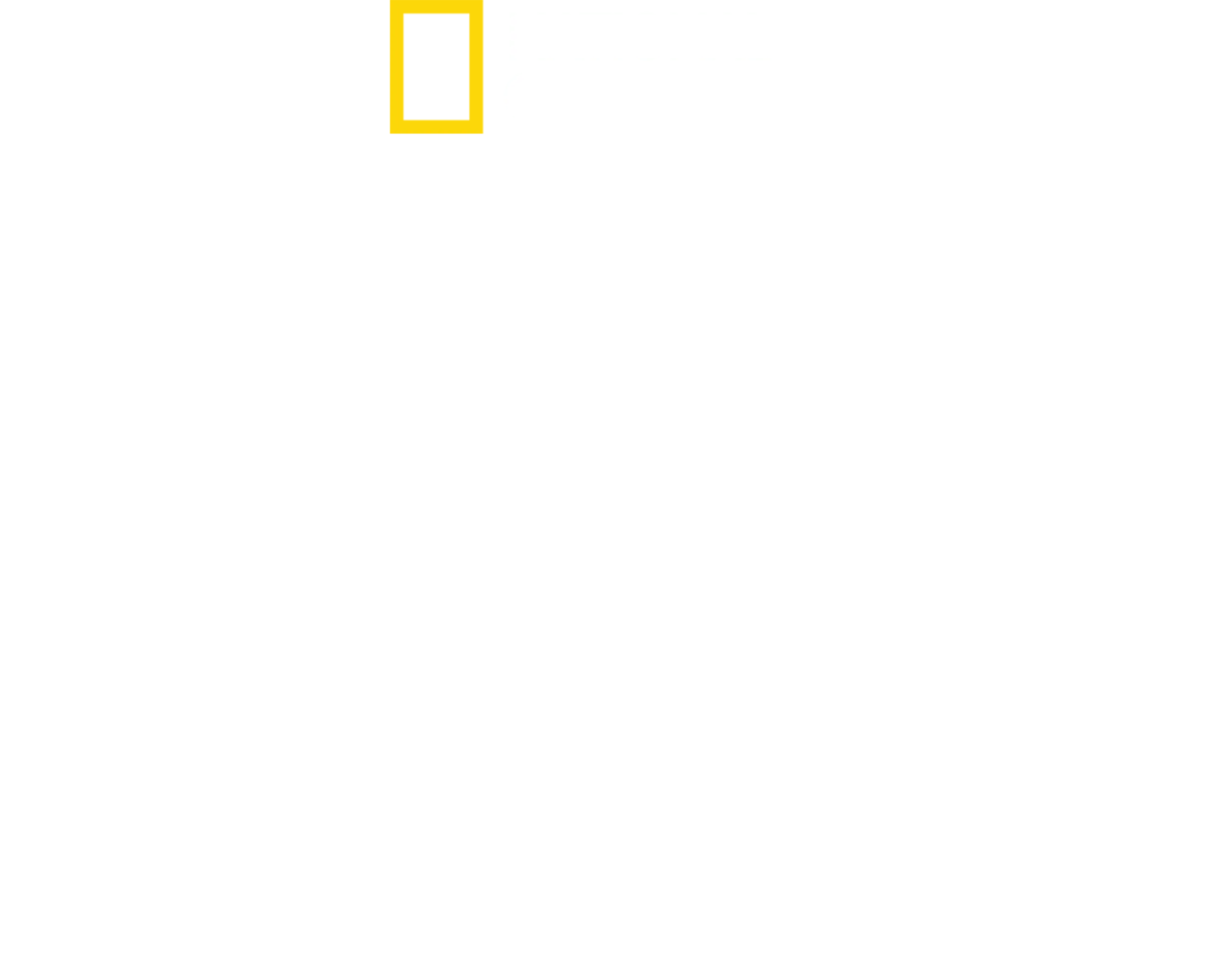 백 투 더 네이처
