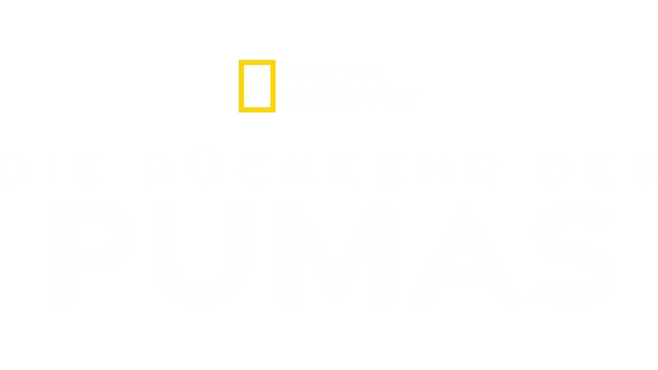 Die Rückkehr des Pumas