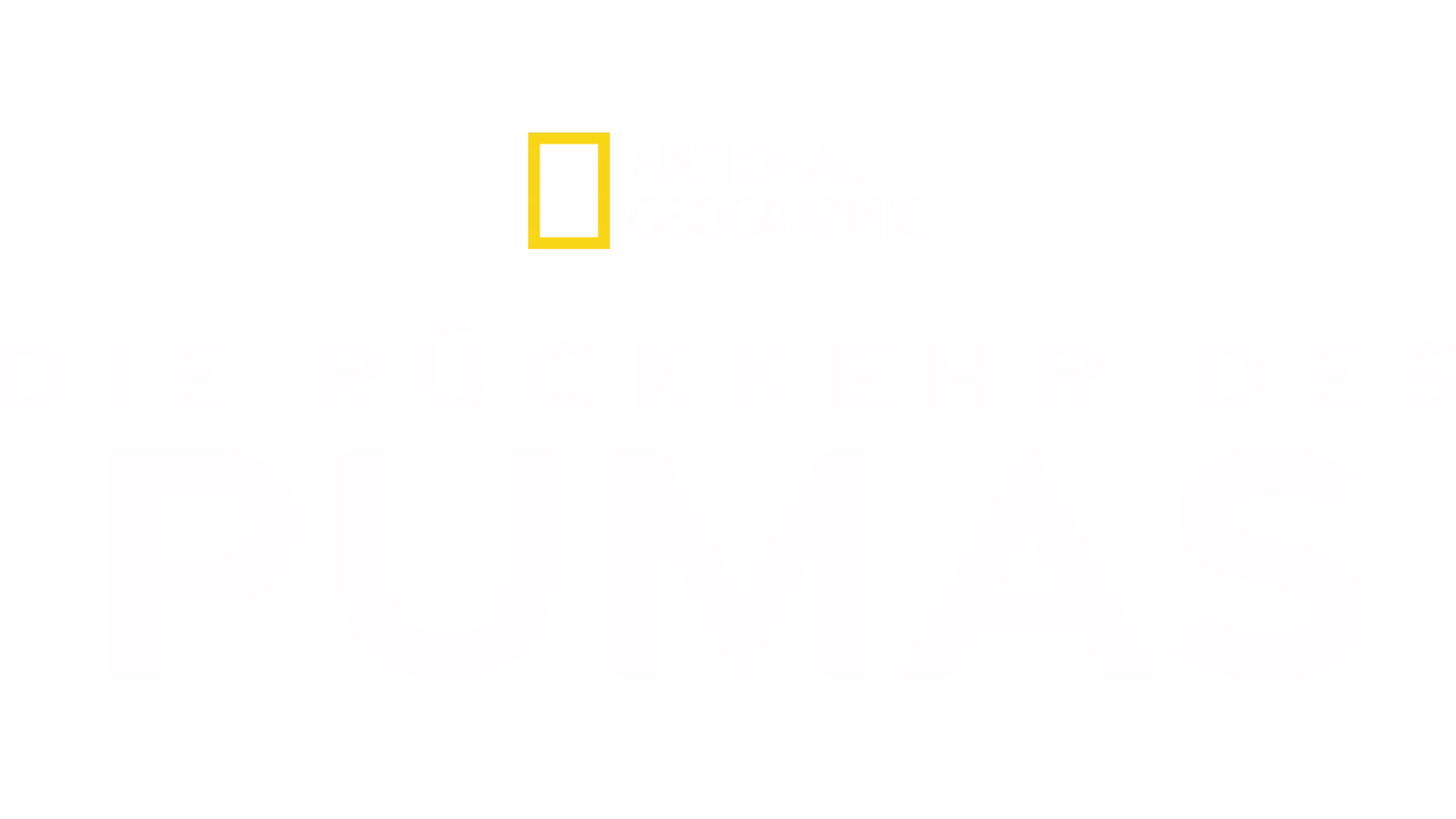 Die Rückkehr des Pumas