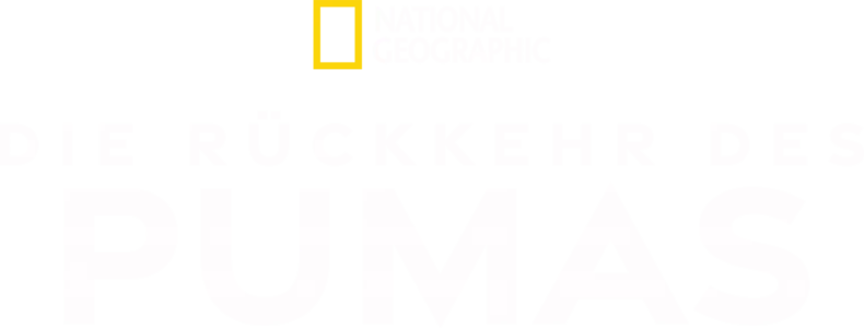 Die Rückkehr des Pumas