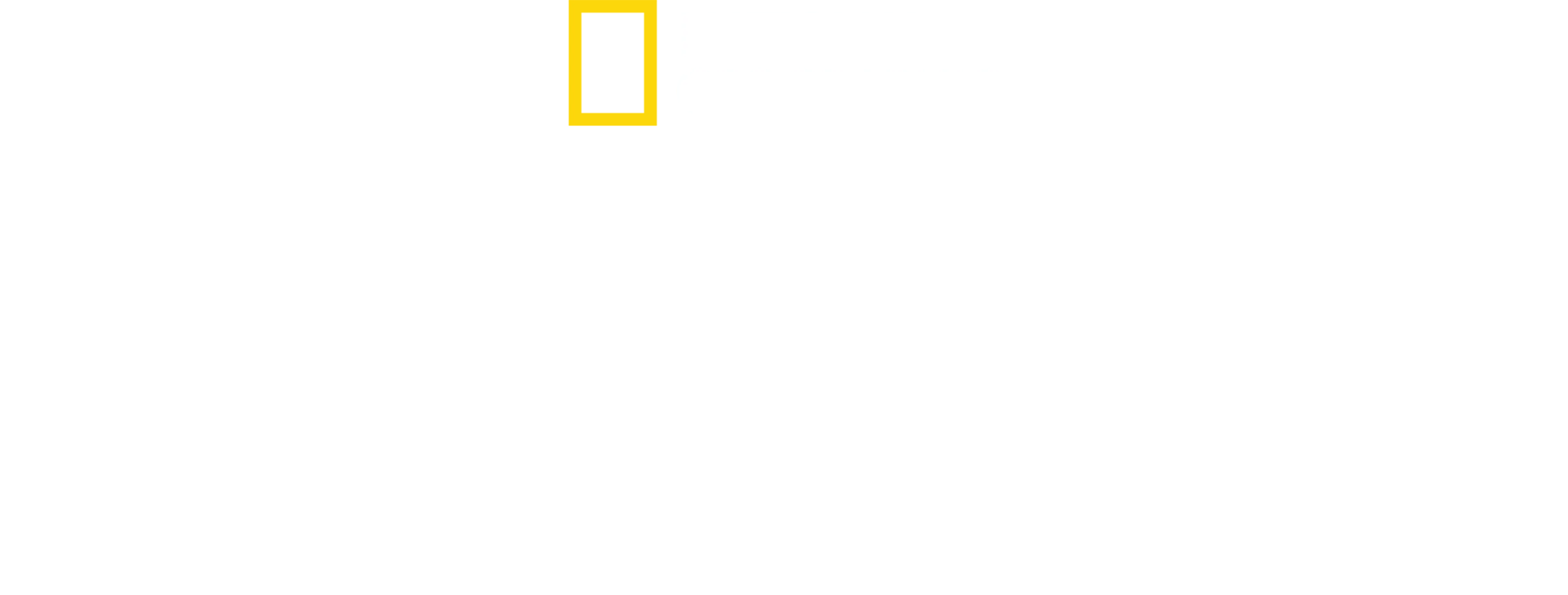 Die Rückkehr des Pumas