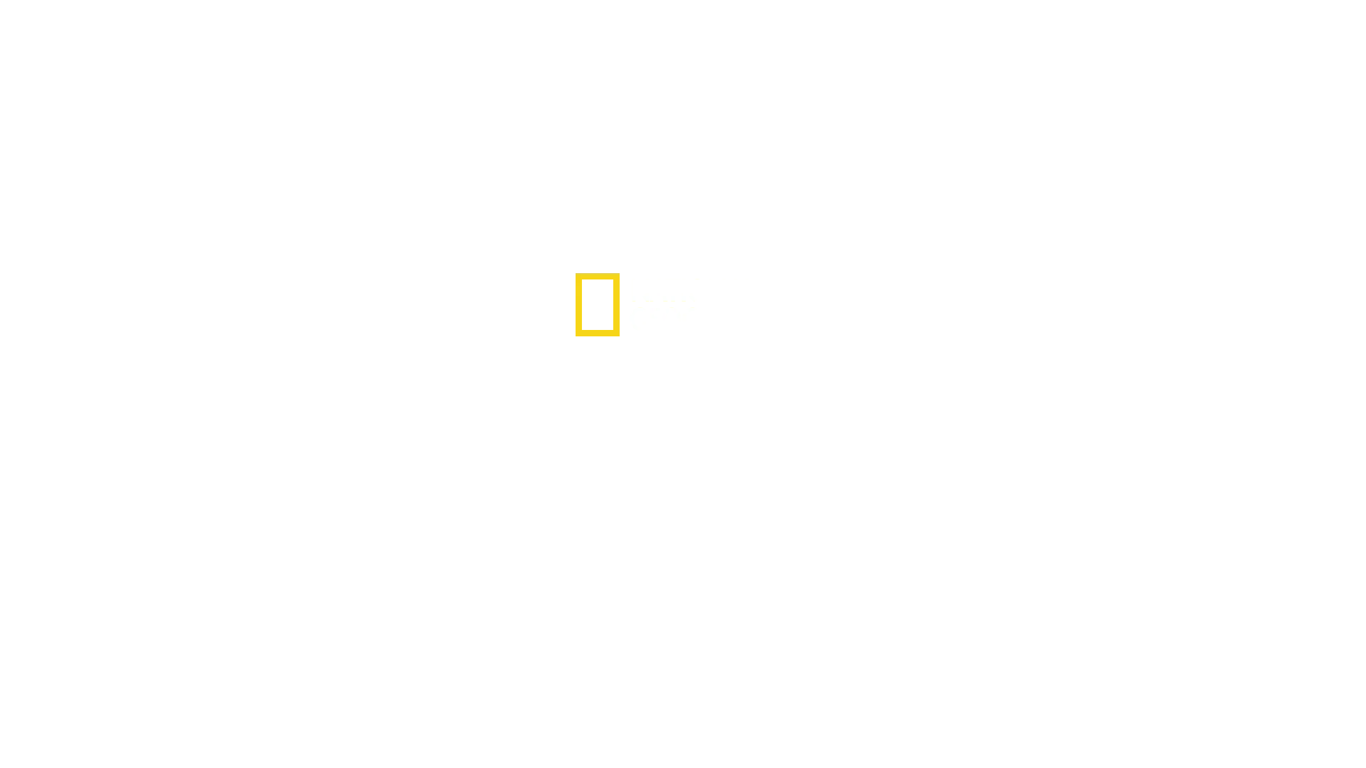Katastrofevitne