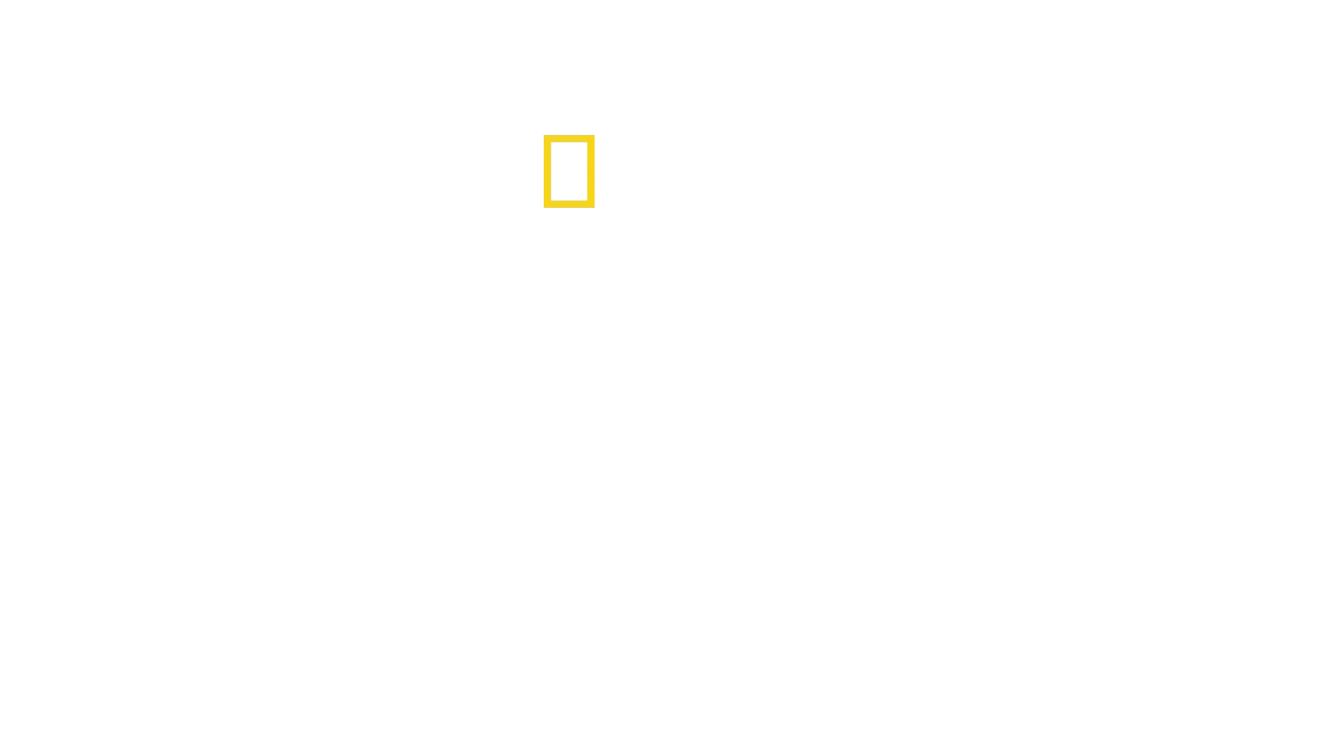 Secrets of the Elephants
