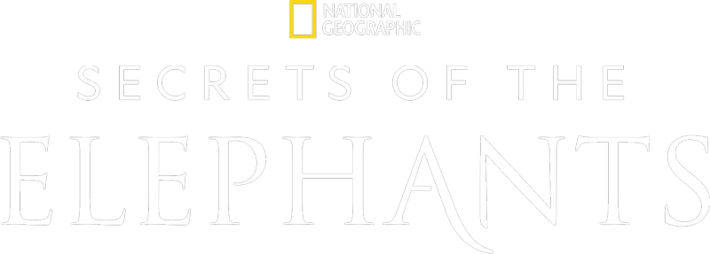 Secrets of the Elephants
