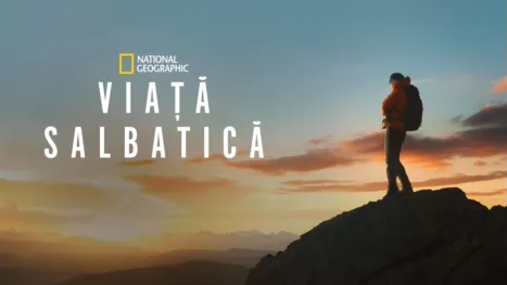 thumbnail - Viață salbatică