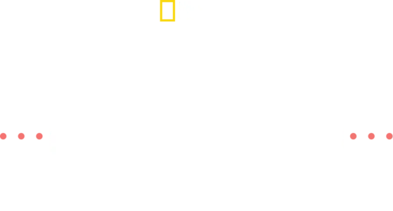 Pop Goes the Vet with Dr. Joya