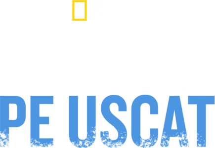 Alcatraz pe uscat