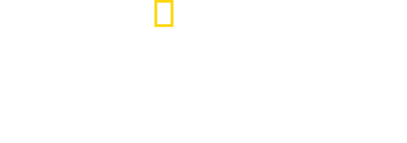 Hitlers rusmisbruk