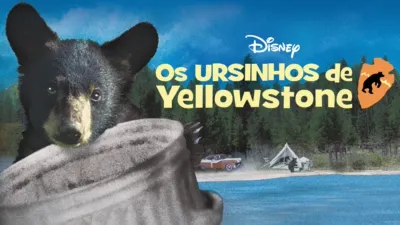 thumbnail - Os Ursinhos de Yellowstone