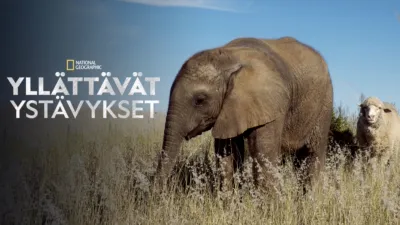 Yllättävät ystävykset