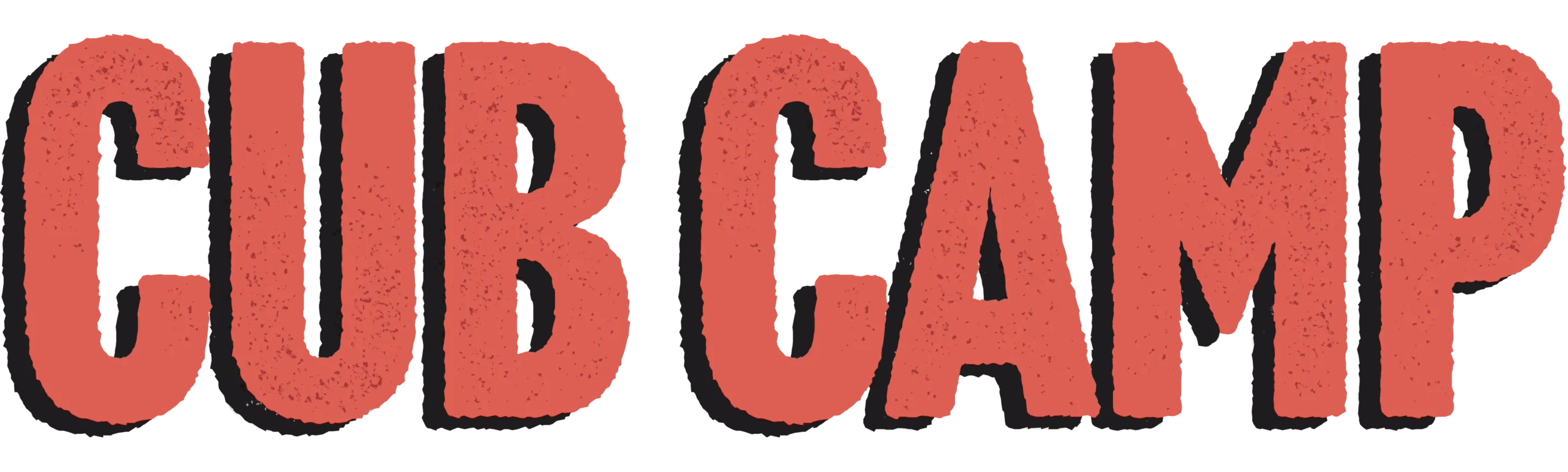Cub Camp