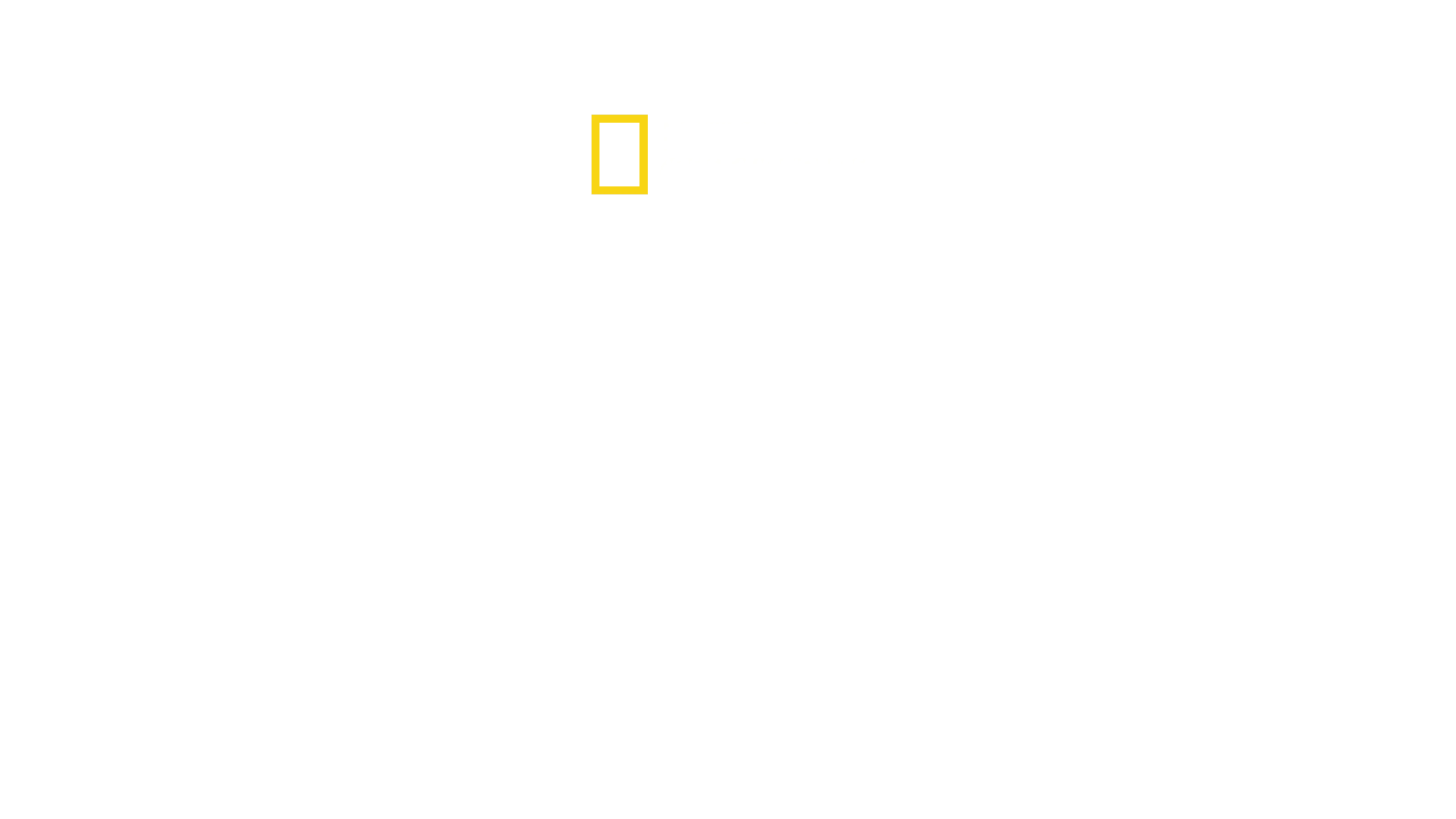 Airport Security