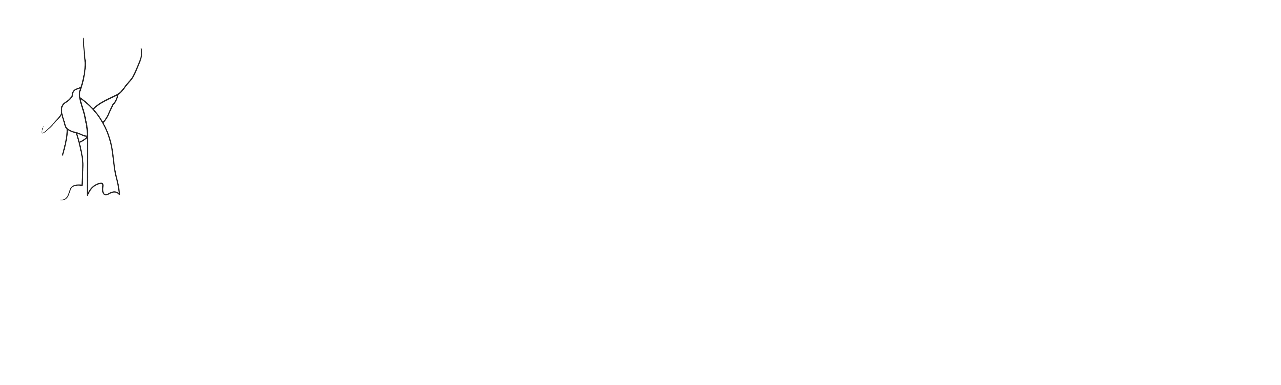 The Super Dimension Fortress Macross: Flash Back 2012