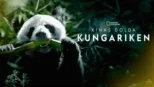 thumbnail - Kinas dolda kungariken