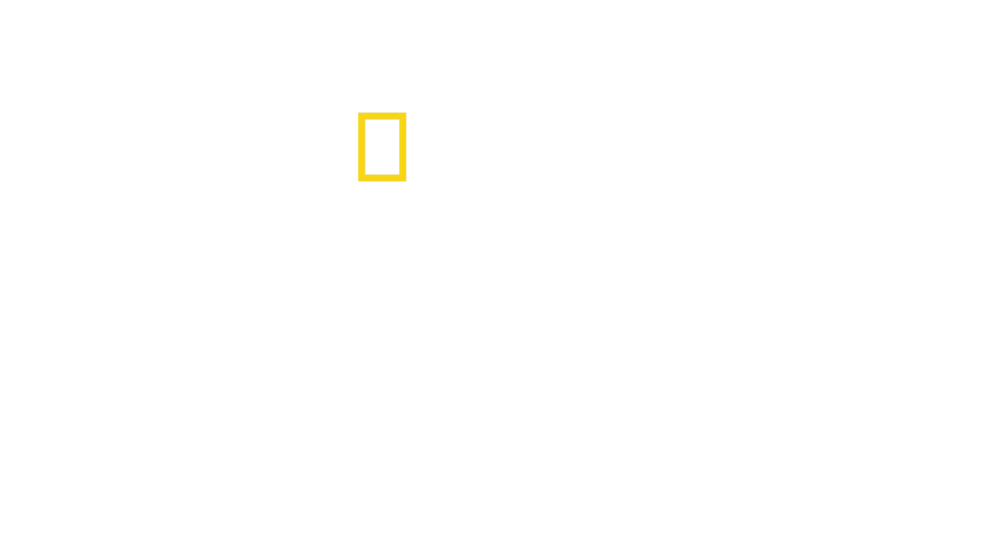 Χωρίς Όριο: Ζήσε Καλύτερα Τώρα
