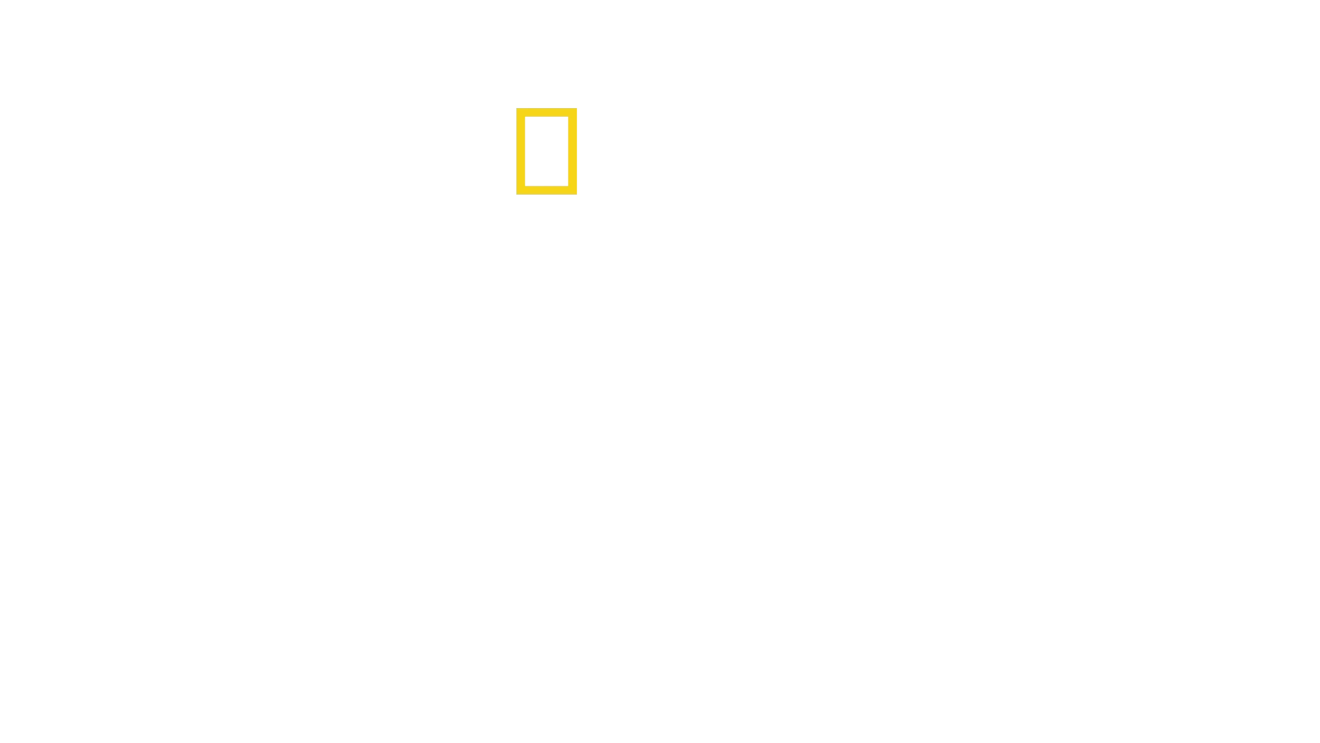 I segreti delle balene