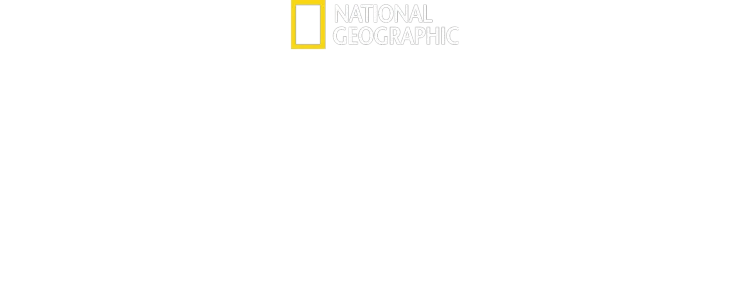 I segreti delle balene